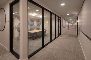 A long hallway with glass doors and carpeted floors.