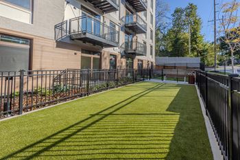 A grassy area in front of a building with a metal fence.