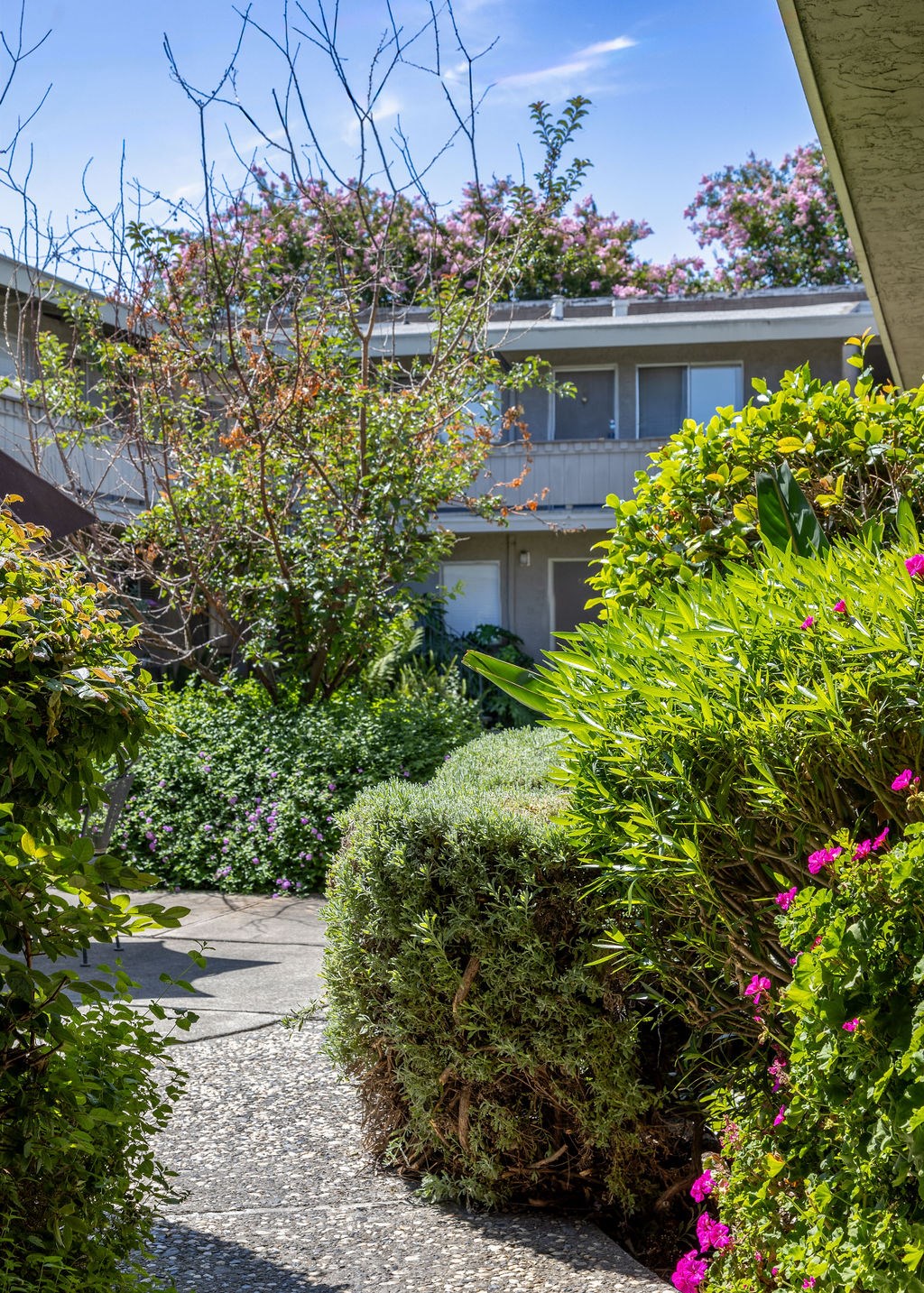 a view of a garden with a house in the background