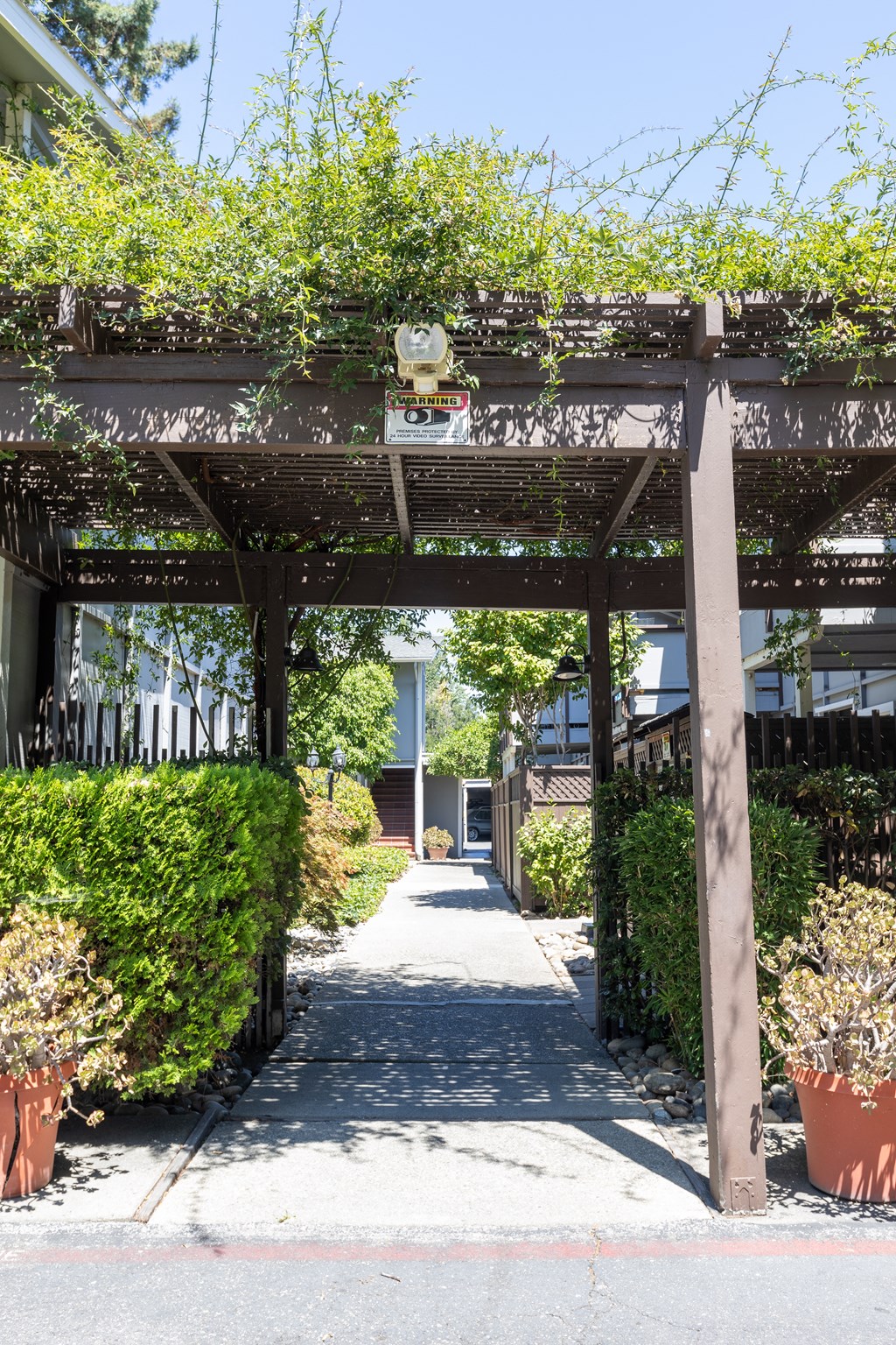 a pergola over a path in a garden