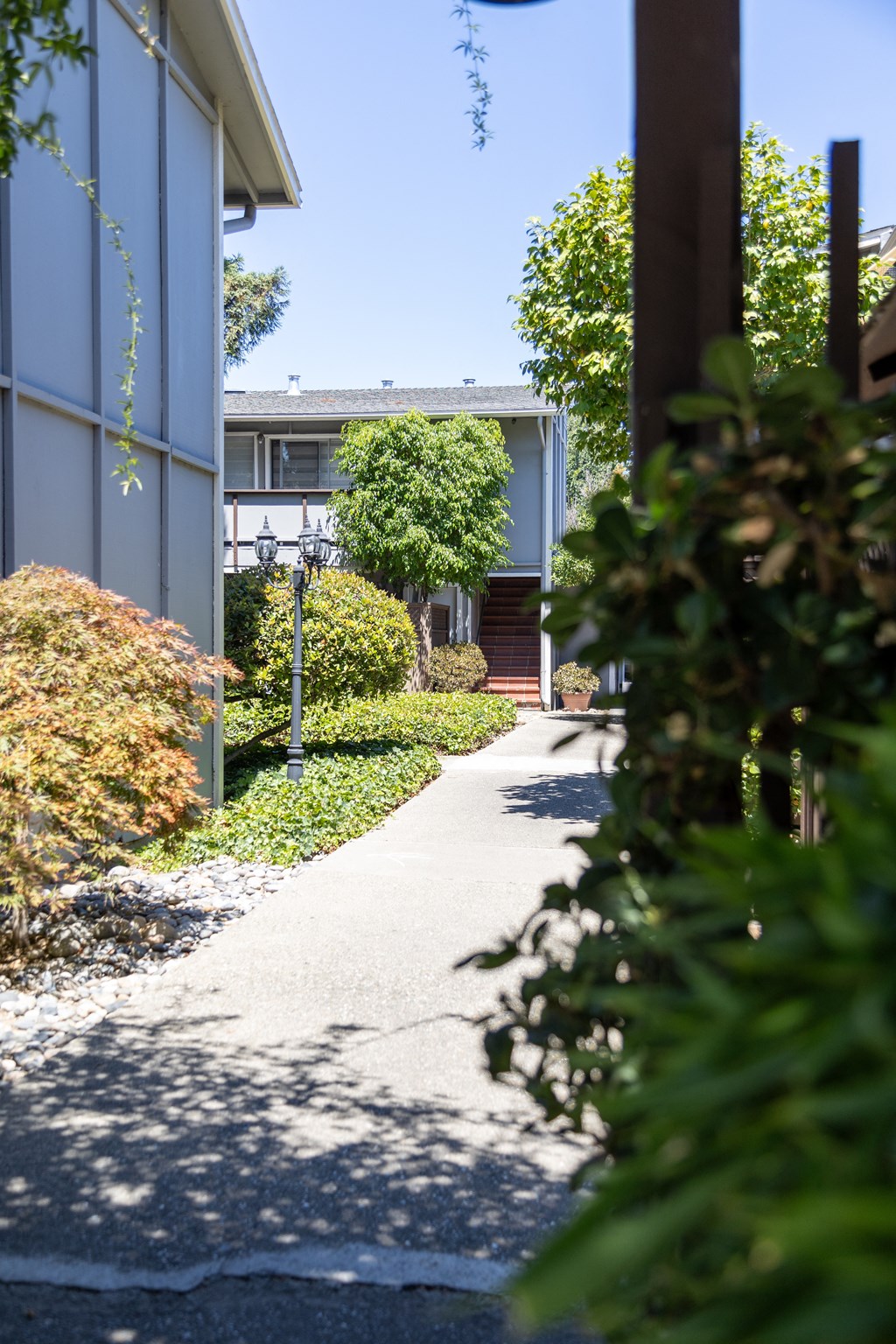 a view of a sidewalk in front of a house