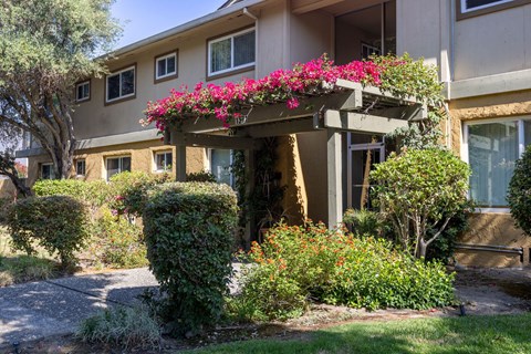 the front entrance of an apartment building with pink flowers on a porch