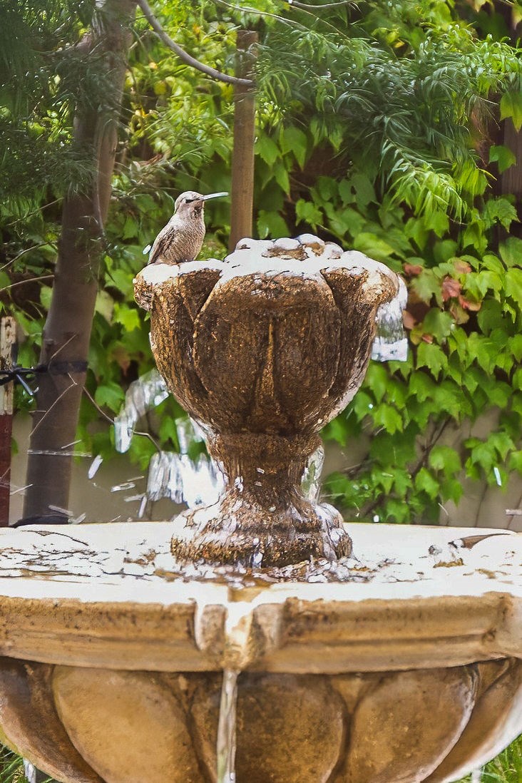 Two birds are perched on a stone fountain.