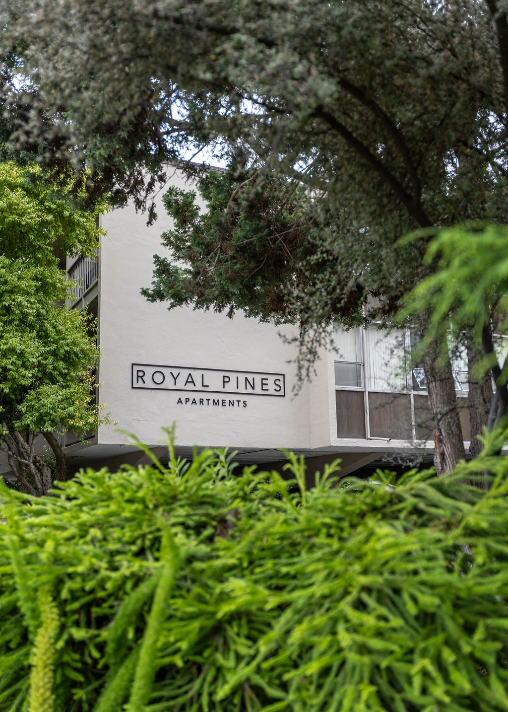 A sign for Royal Pines Apartments is partially obscured by foliage.