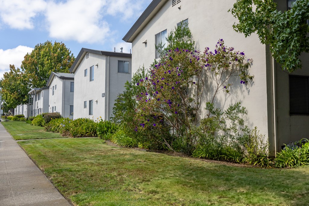 A row of houses with a sidewalk in front.