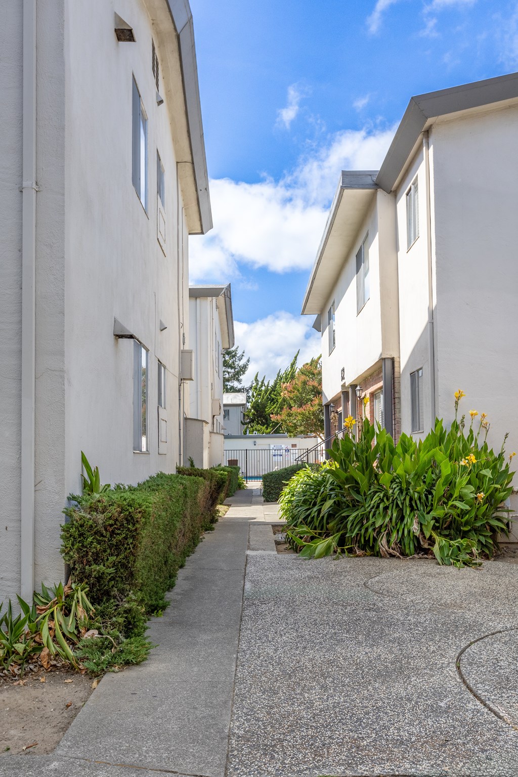A row of white houses with green plants in front.