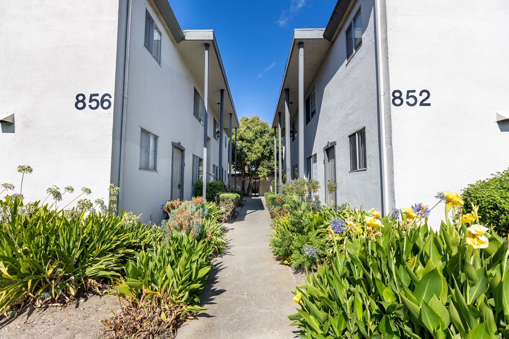 A white building with the numbers 856 and 852 on it.