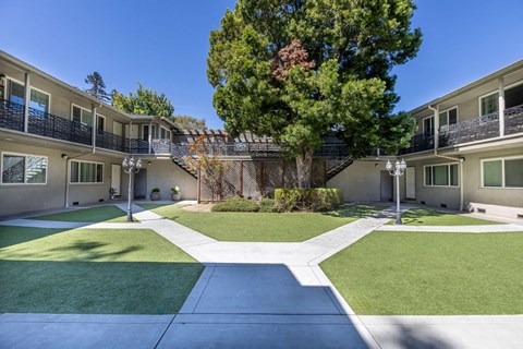A courtyard with a tree and a building with balconies.