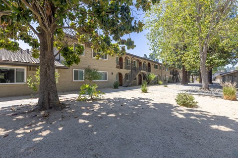 A tree in front of a building with a gravel area in the foreground.