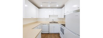 a kitchen with white cabinets and appliances and a sink