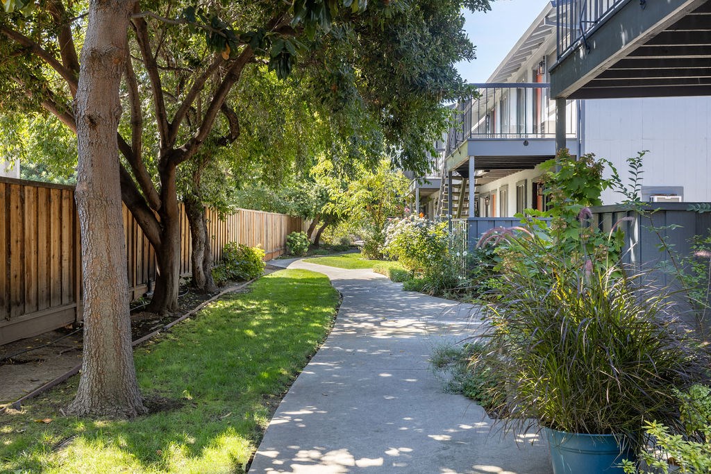 a sidewalk in front of a house with trees and grass