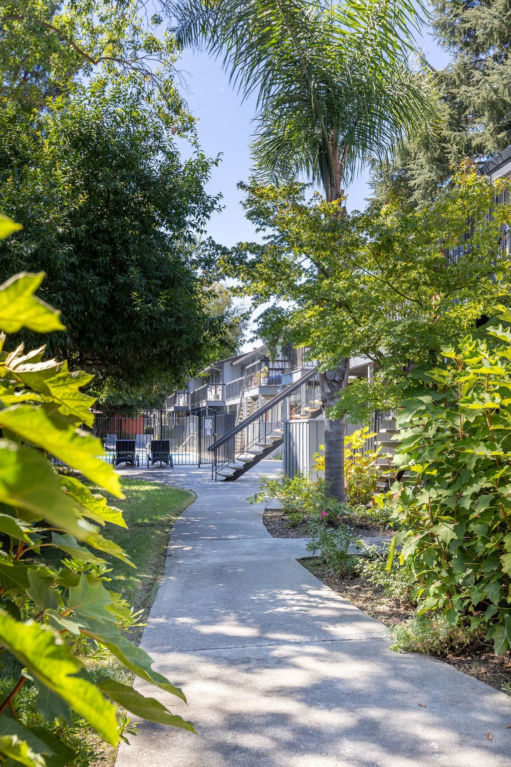 a sidewalk in a neighborhood with trees and plants