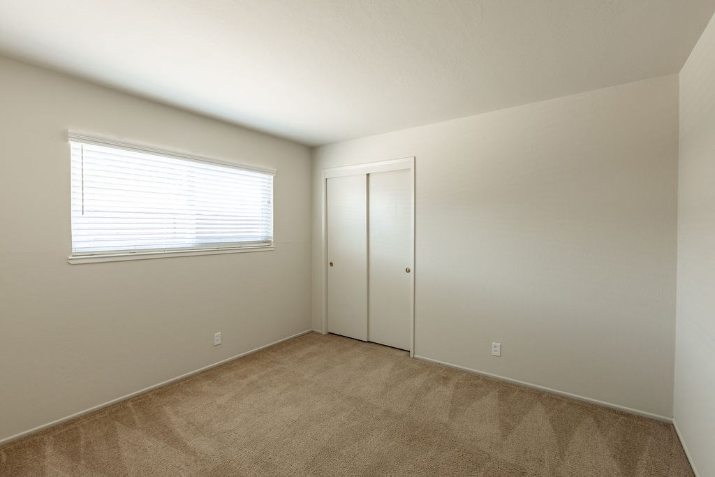 a bedroom with a door and a window and a carpeted floor