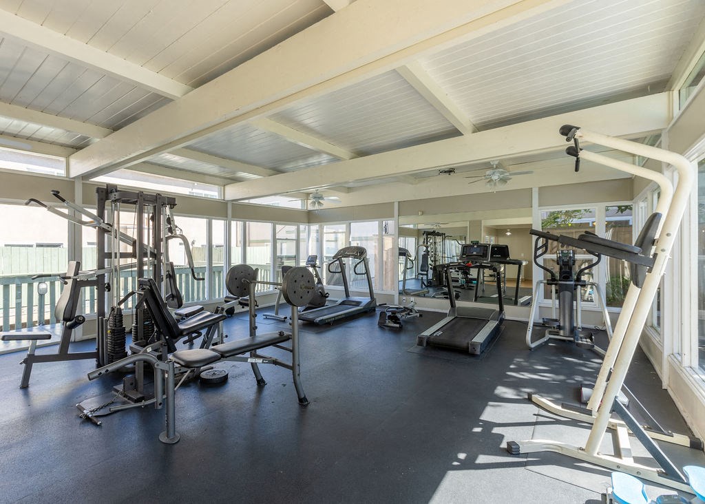 Newell Vista Apartments