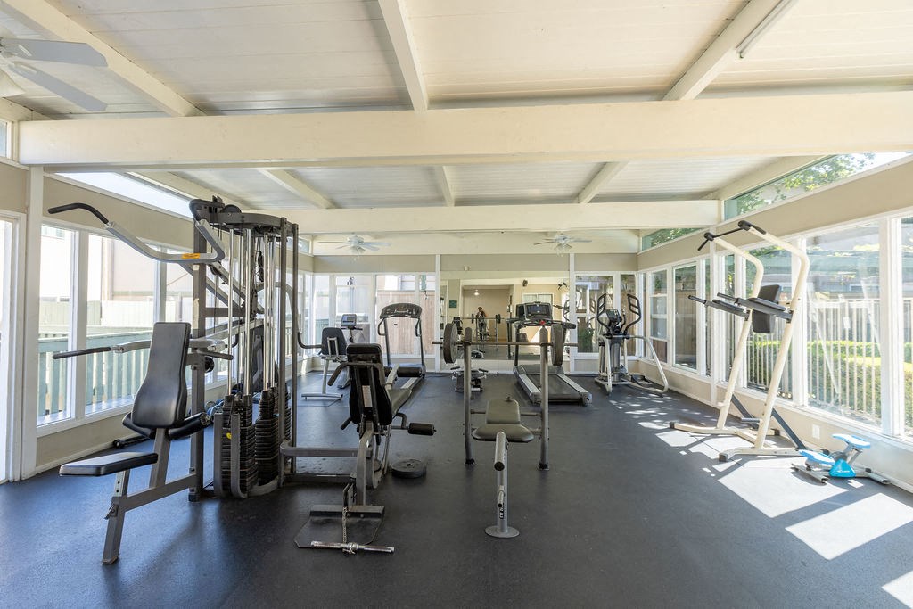 Newell Vista Apartments