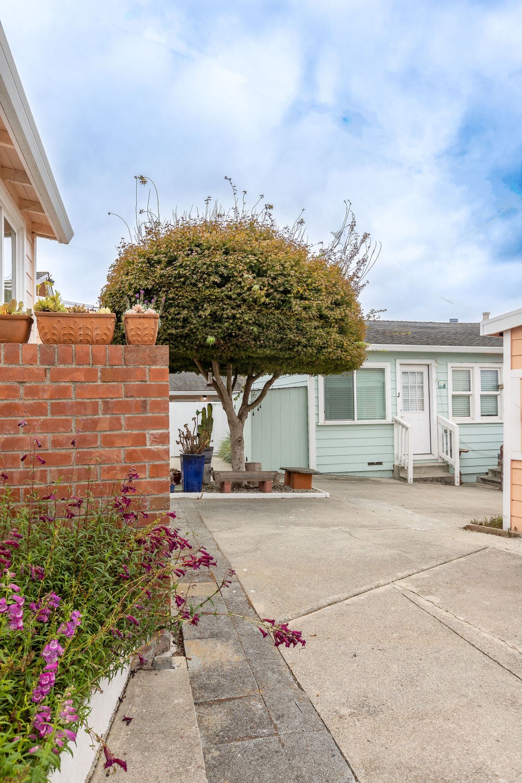 a small tree in the middle of a driveway in front of a house