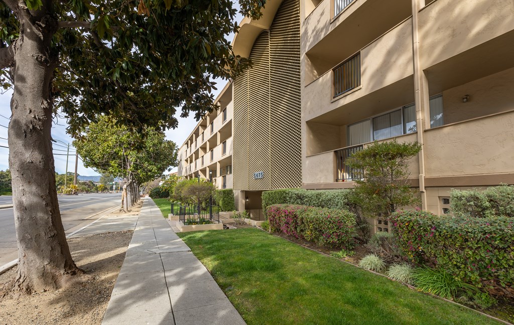 A tree is on the left of a sidewalk in front of a building.