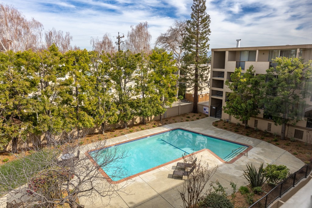 A swimming pool surrounded by trees and bushes in a residential area.