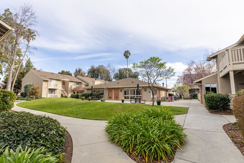 A residential area with a building and a tree in the middle.