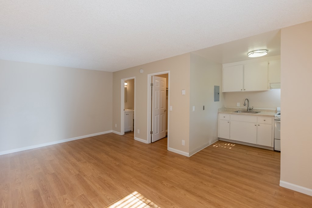 Interior main space view with kitchen, closet, and bathroom