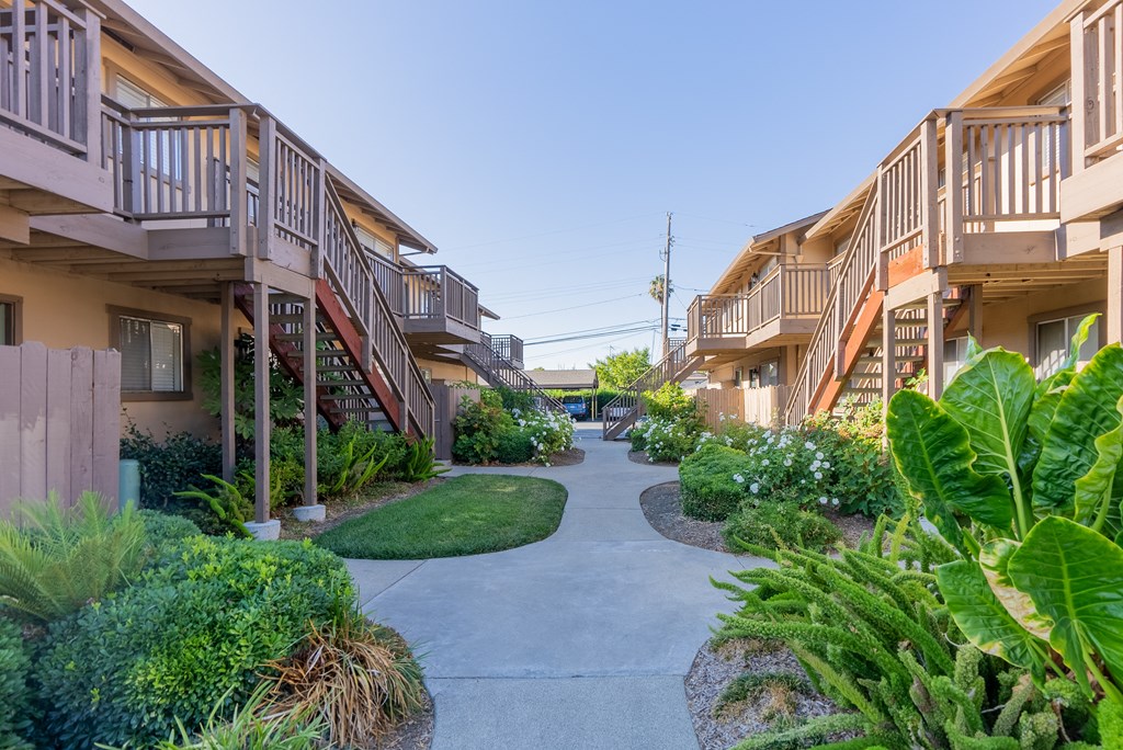 a view of the courtyard between two apartment buildings with plants and grass
