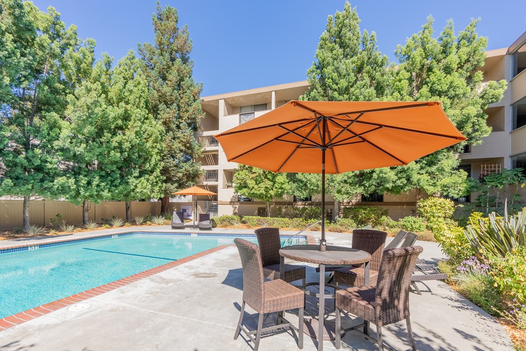 Pool and pool furniture