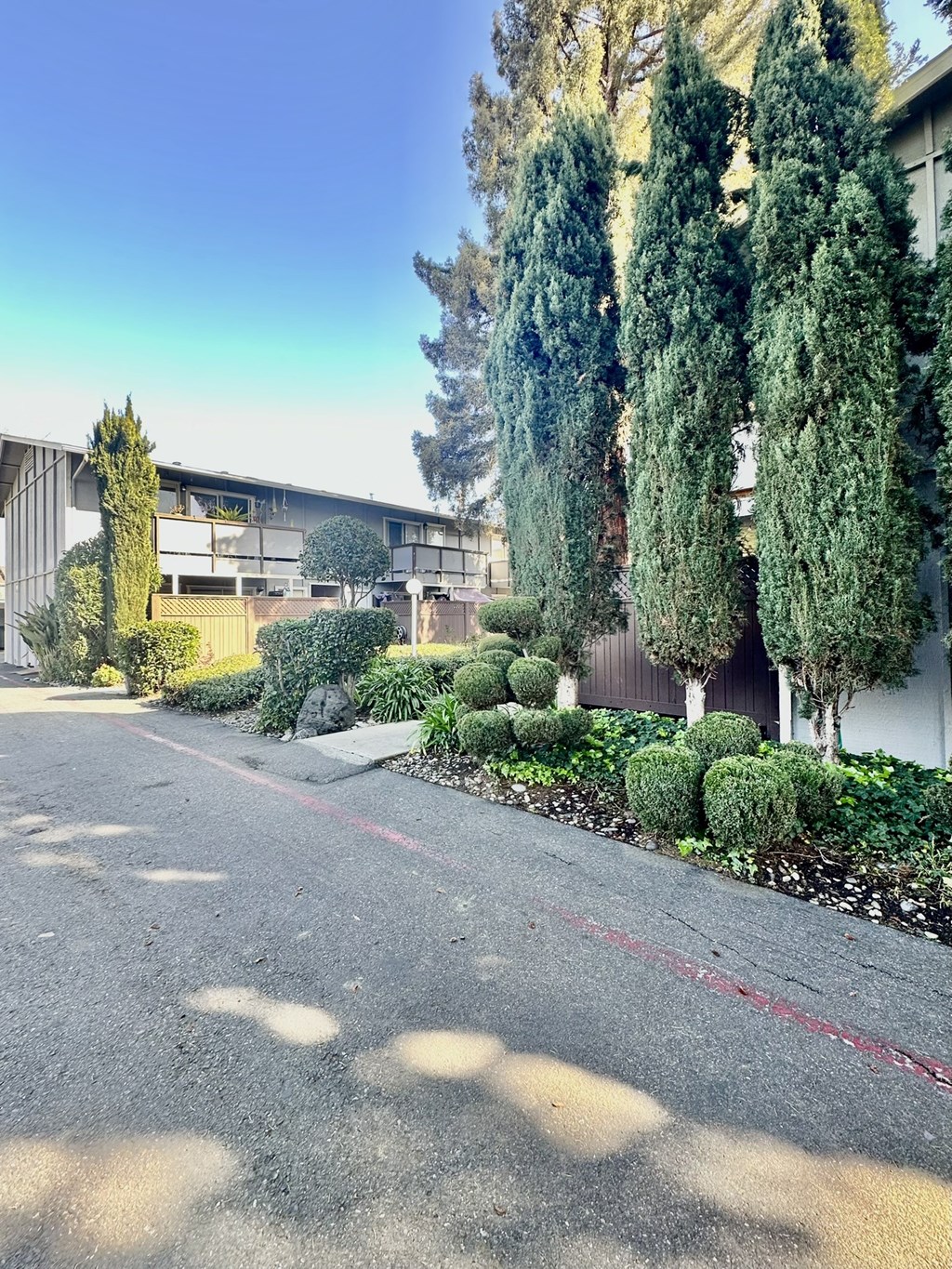 a street in front of a building with trees and bushes