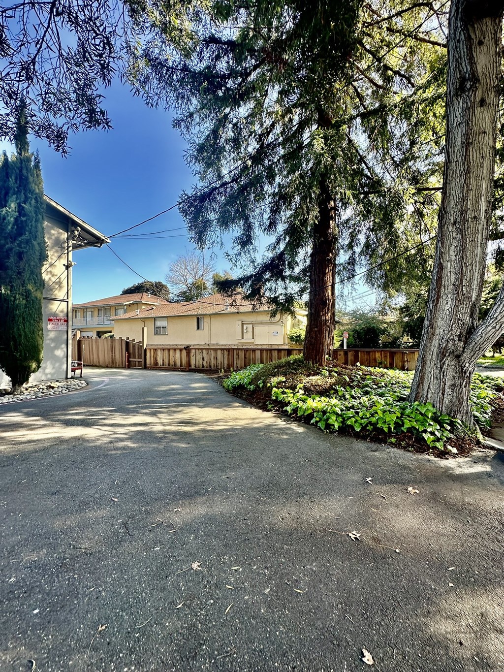 a house with a driveway and trees in front of it