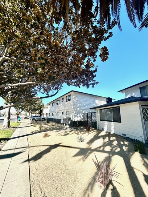 A sunny day in a residential area with houses and trees.