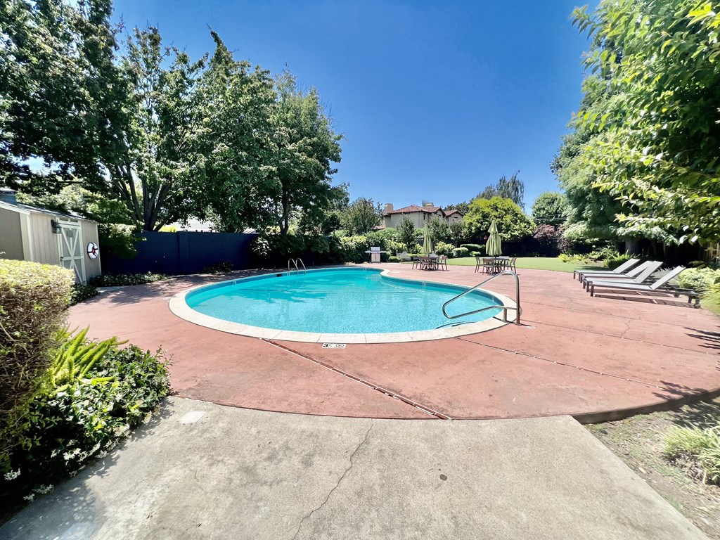 a backyard pool with trees and a blue fence around it