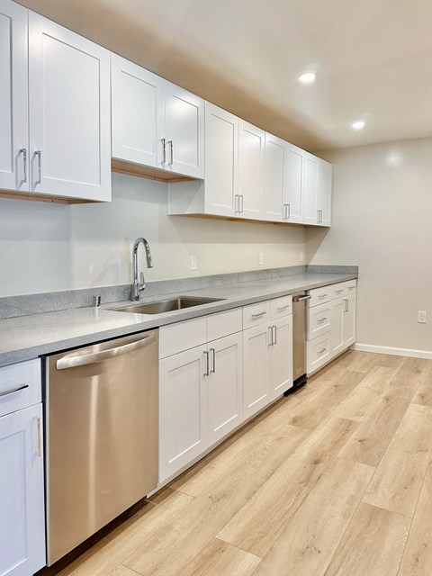 A kitchen with white cabinets and a stainless steel dishwasher.