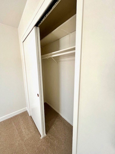 A white closet with a door open and shelves inside.