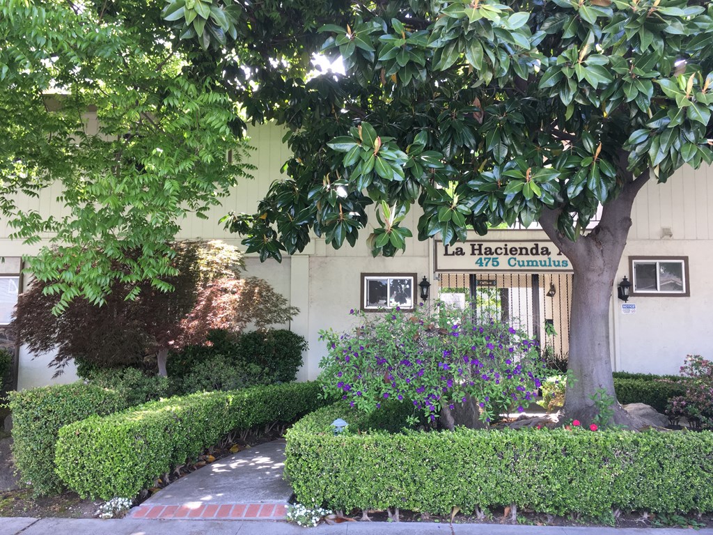 a building with a tree in front of it