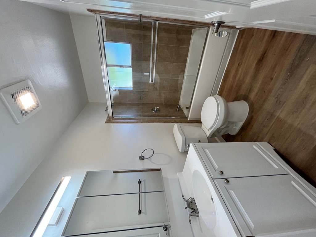 A modern bathroom with a walk-in shower and a toilet.