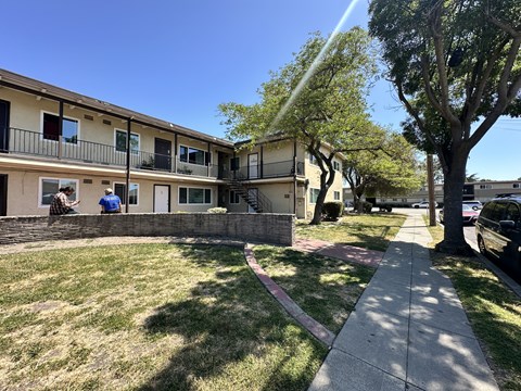 A sunny day in a residential area with apartment buildings and a sidewalk.