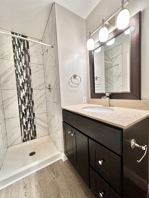 a bathroom with a shower and a sink