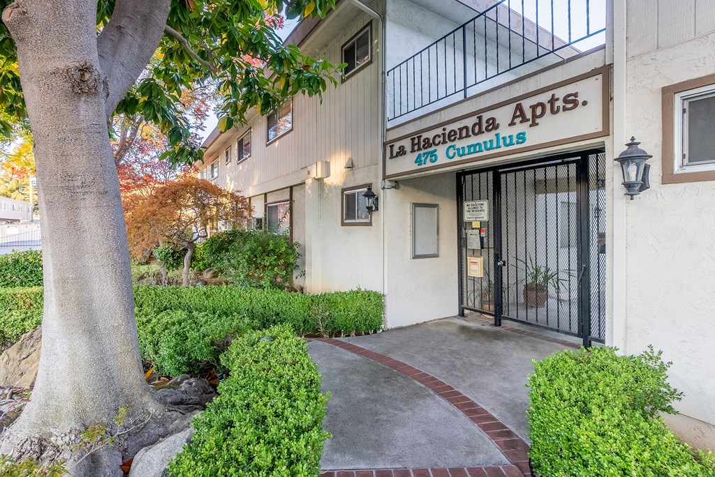 a building with a large tree in front of it