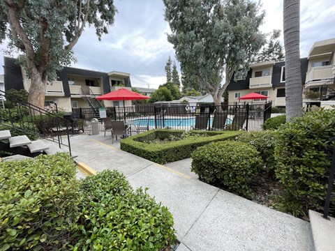 A pool surrounded by trees and bushes with a building in the background.