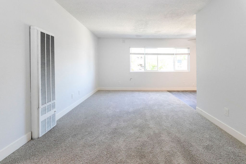 an empty living room with white walls and carpet and a window