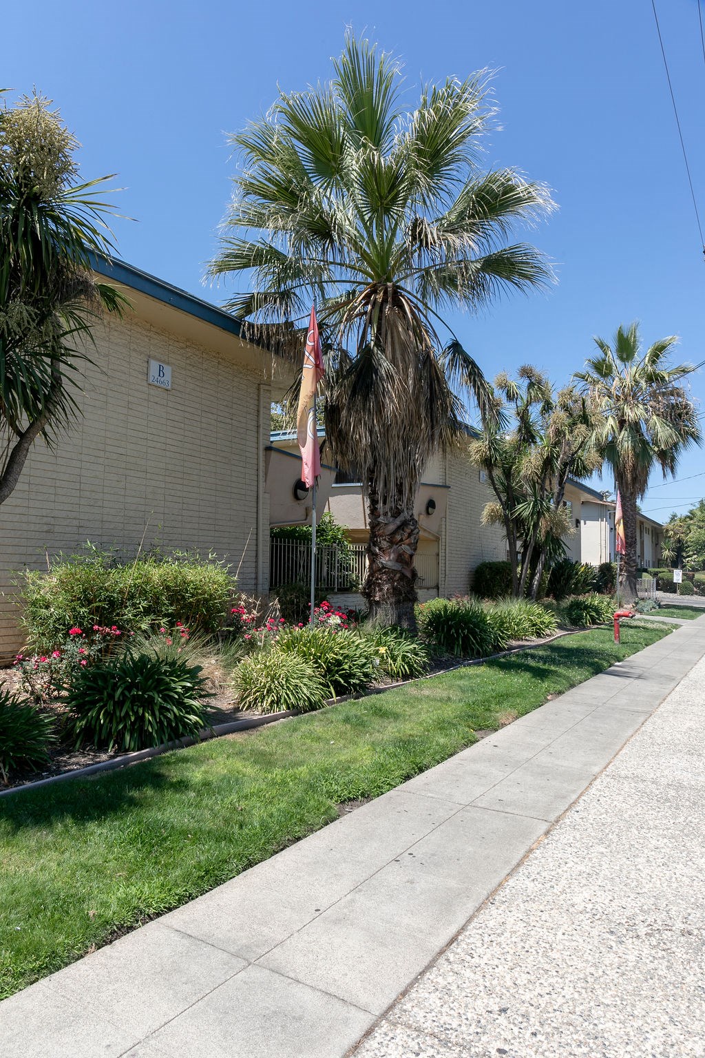 a sidewalk in front of a building with palm trees