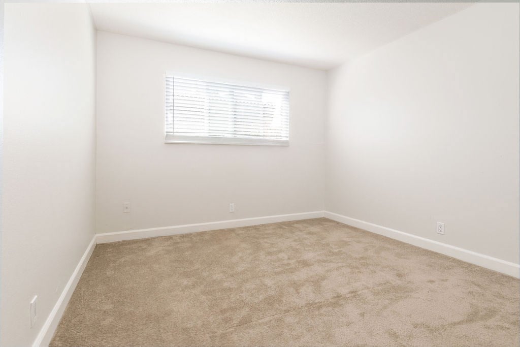 a spacious room with carpet and a window