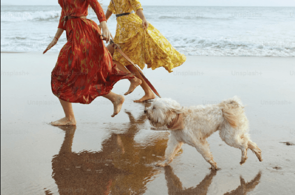 two women walking on the beach with a dog