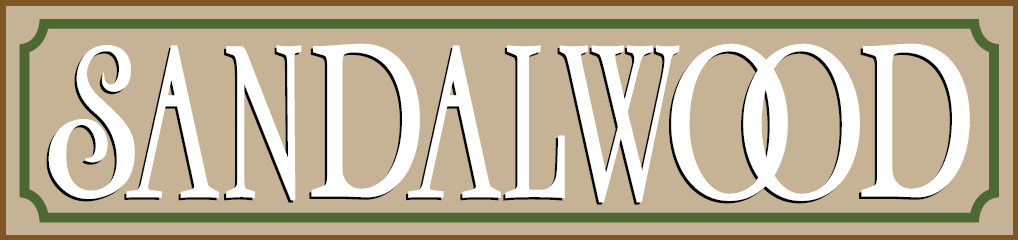 a vector illustration of a saxon font