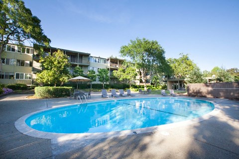 A swimming pool surrounded by chairs and trees in a sunny day.