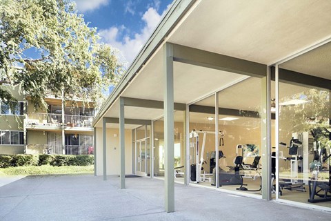 A gym with a glass wall and a tree outside.