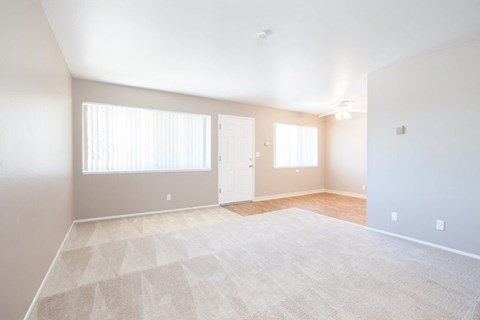A spacious room with a carpeted floor and two windows letting in natural light.