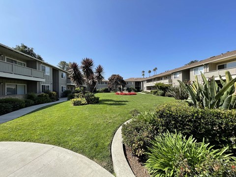 A sunny day at a residential area with apartment buildings and well-kept lawns.