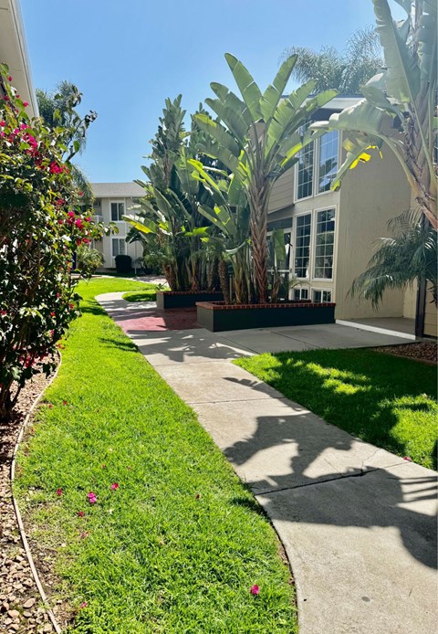 A well-maintained garden pathway with a white hose on the left and a building in the background.