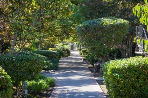 A tree-lined street with a sidewalk and a mailbox.