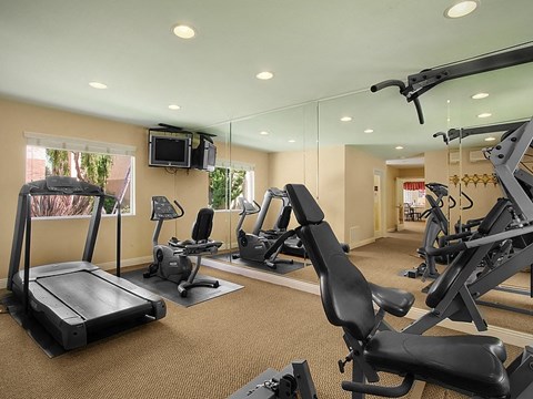 A gym with treadmills, exercise bikes, and other equipment.